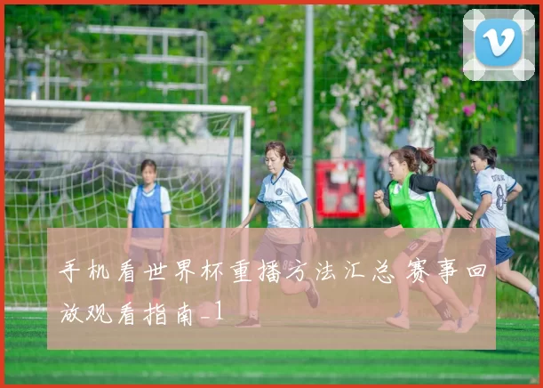 手机看世界杯重播方法汇总 赛事回放观看指南_1