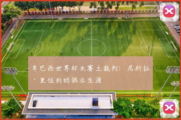 年巴西世界杯决赛主裁判:尼科拉·里佐利的执法生涯
