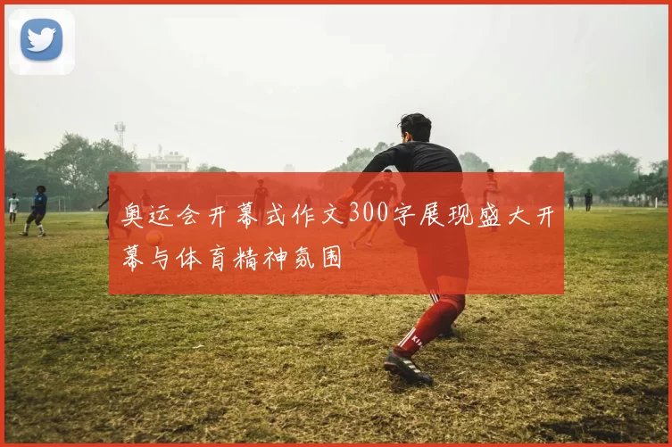 奥运会开幕式作文300字展现盛大开幕与体育精神氛围