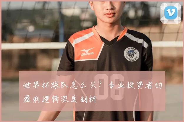 世界杯球队怎么买?专业投资者的盈利逻辑深度剖析