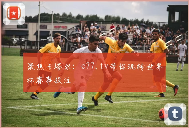 聚焦卡塔尔：c77,tv带你玩转世界杯赛事投注