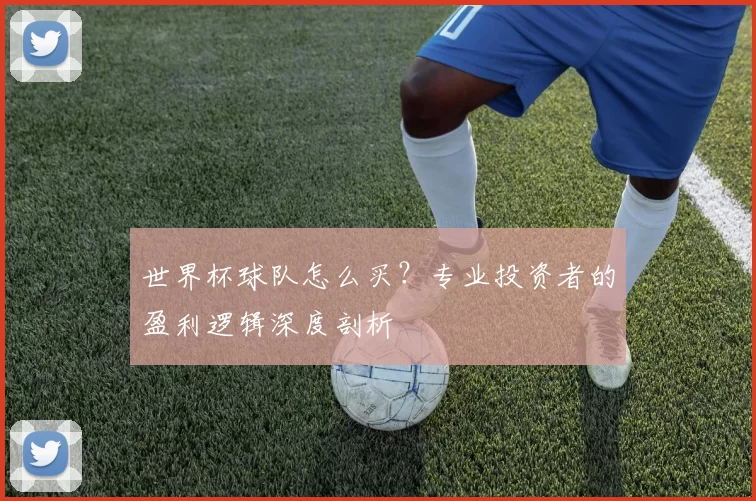 世界杯球队怎么买？专业投资者的盈利逻辑深度剖析