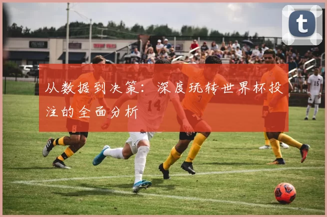 从数据到决策：深度玩转世界杯投注的全面分析