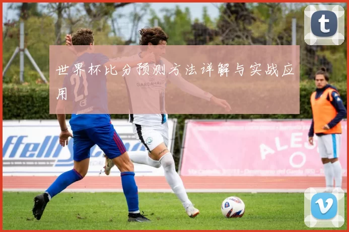 世界杯比分预测方法详解与实战应用