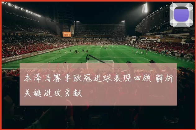 本泽马赛季欧冠进球表现回顾 解析关键进攻贡献
