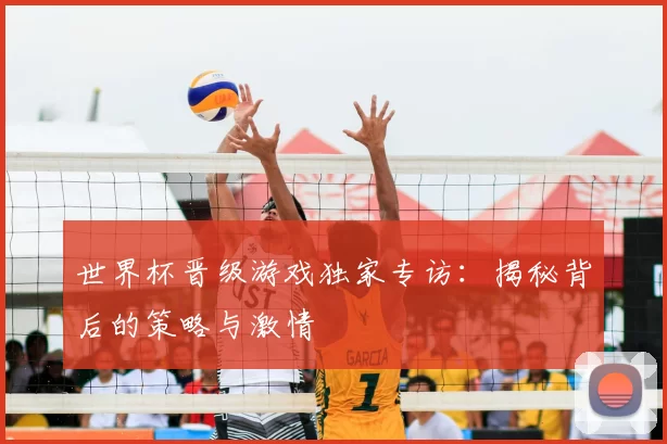 世界杯晋级游戏独家专访：揭秘背后的策略与激情