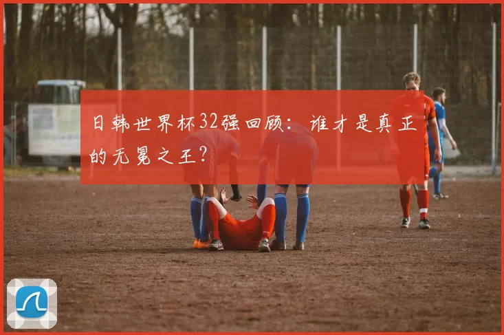 日韩世界杯32强回顾：谁才是真正的无冕之王？