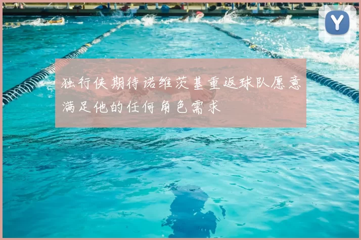 独行侠期待诺维茨基重返球队愿意满足他的任何角色需求