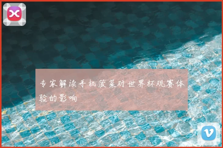专家解读手机菠菜对世界杯观赛体验的影响