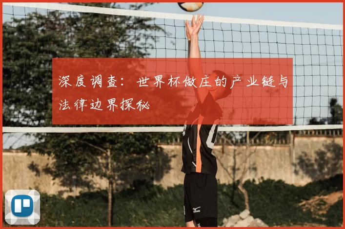 深度调查:世界杯做庄的产业链与法律边界探秘