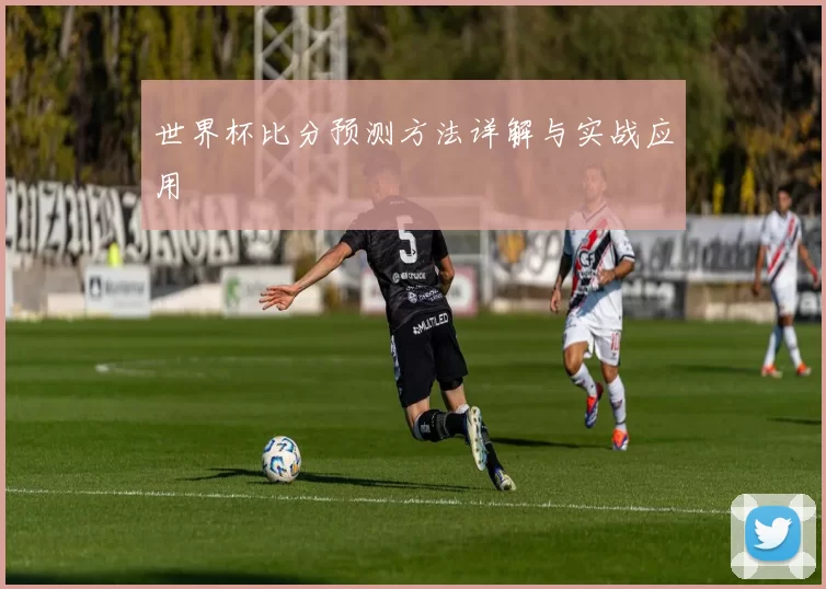 世界杯比分预测方法详解与实战应用