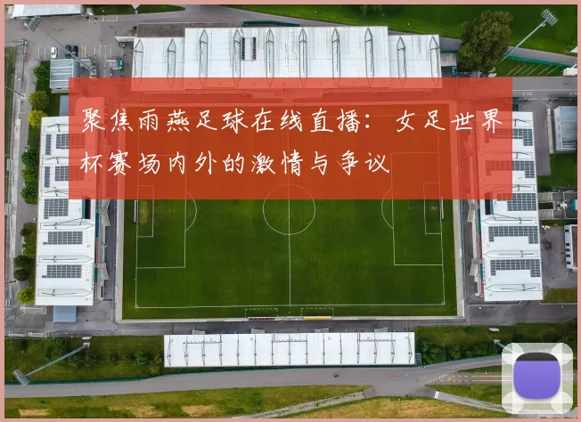聚焦雨燕足球在线直播：女足世界杯赛场内外的激情与争议